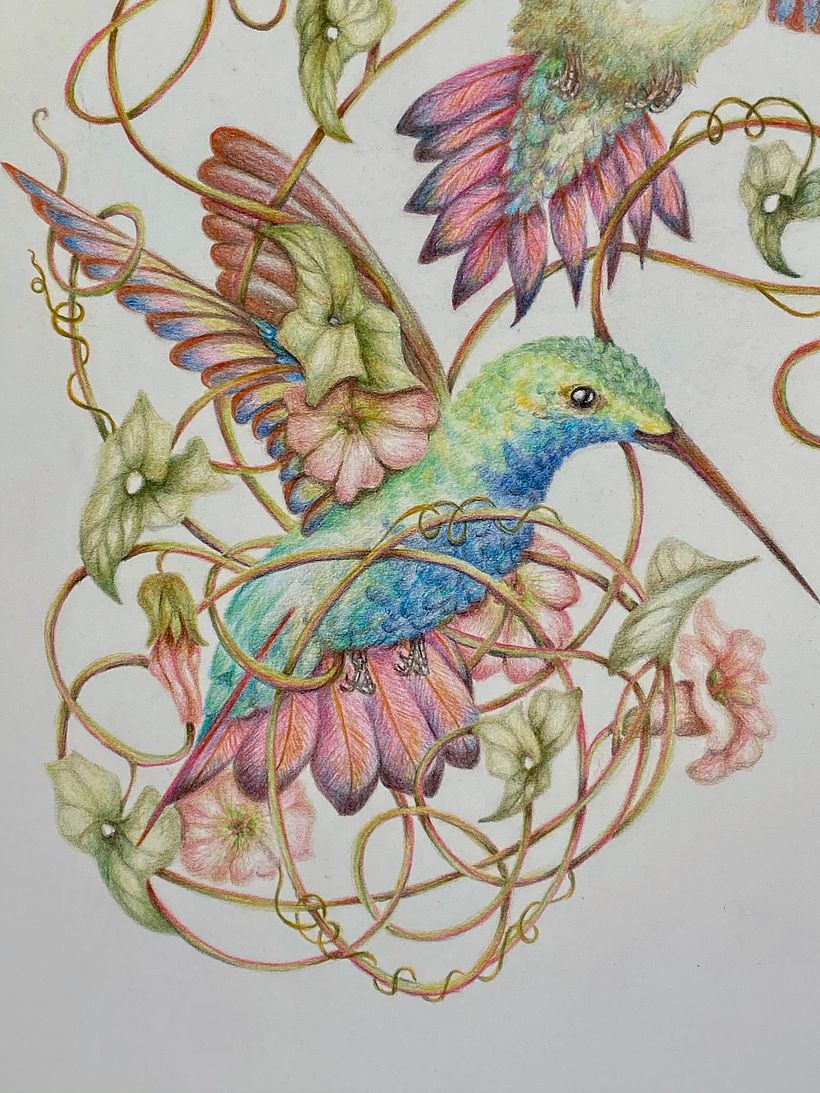 My project in Surrealist Illustration Inspired by Nature course 2