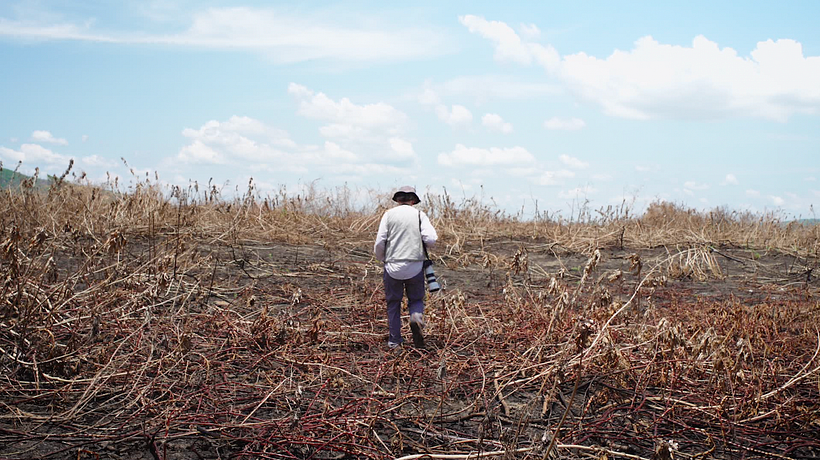 Descubre el Pantanal a través de la mirada de João Farkas 12