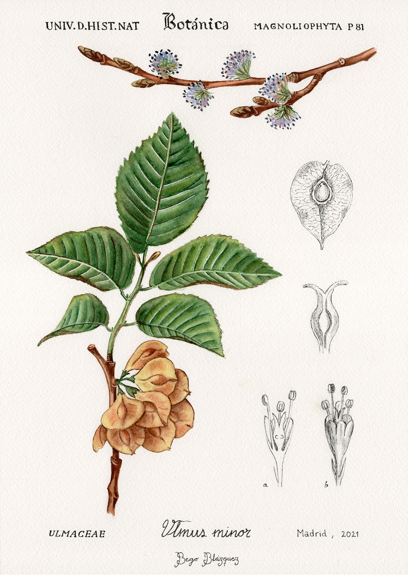 Acuarela y rotulador sobre papel, 36x25cm