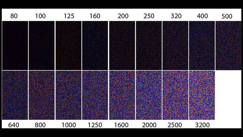 Higher ISOs result in more digital noise.