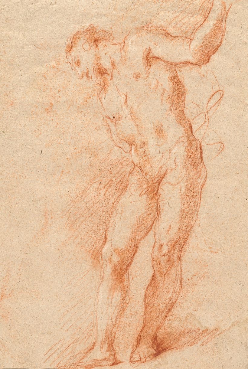 Renaissance sketch.