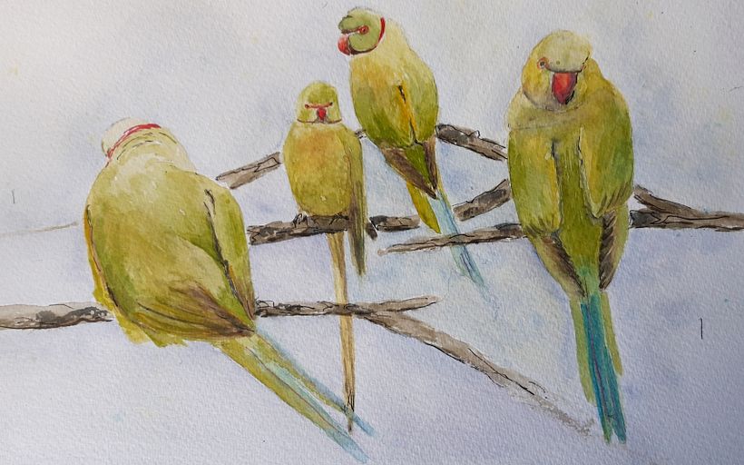 My project in Artistic Watercolor Techniques for Illustrating Birds course -1
