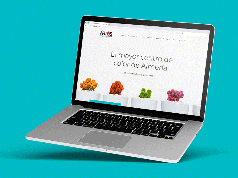 Diseño y desarrollo web