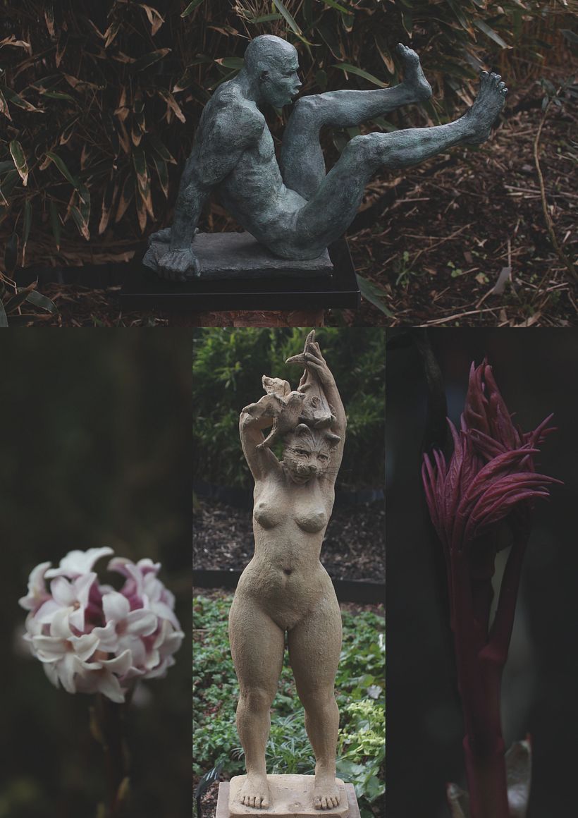 Forest Primeval 8