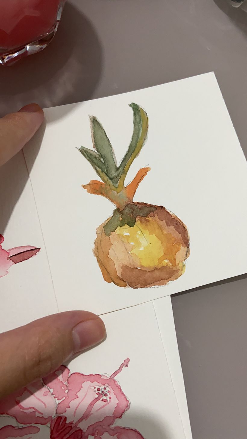 Aquarela livre. Um baby cebola.