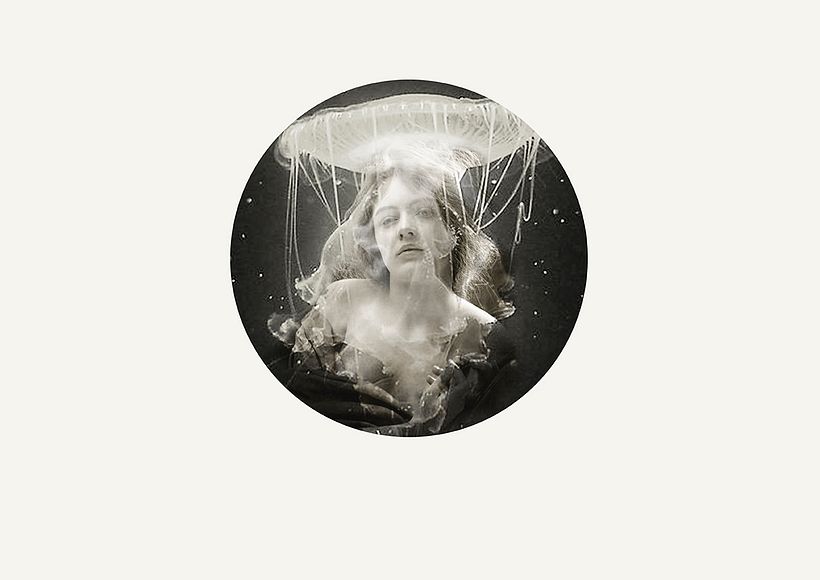 COLLAGE DE LA SERIE 20.000 CREATURES