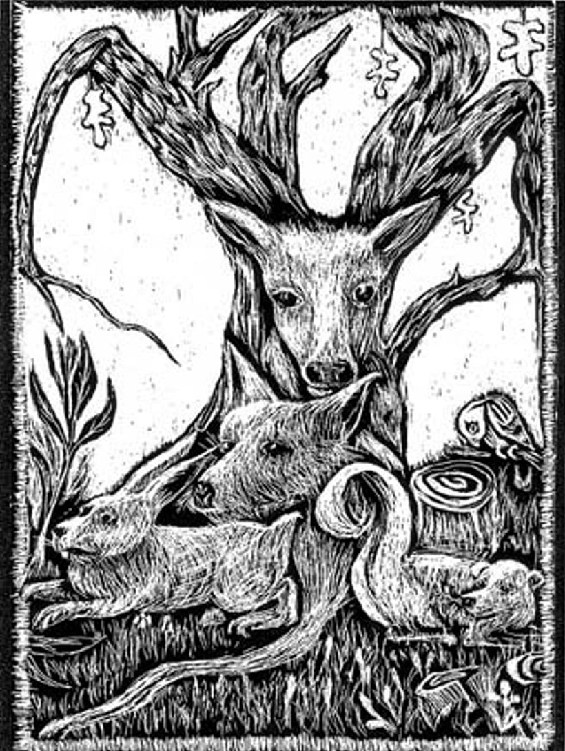 Scratchboard medium 1