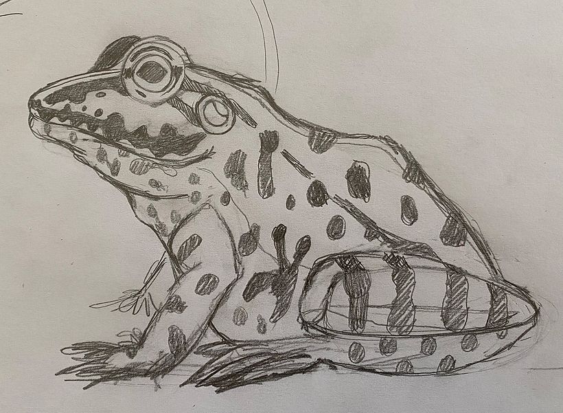 Sketch