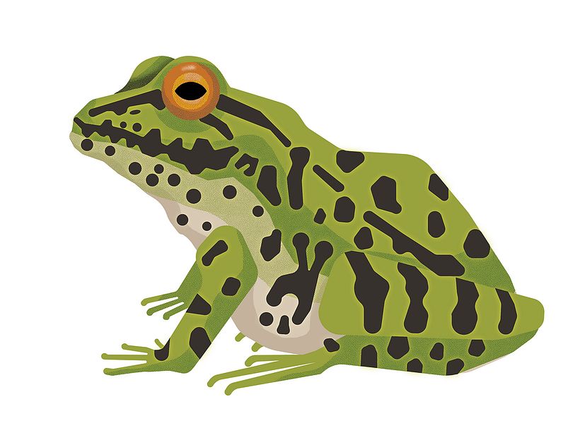 Digital drawing
