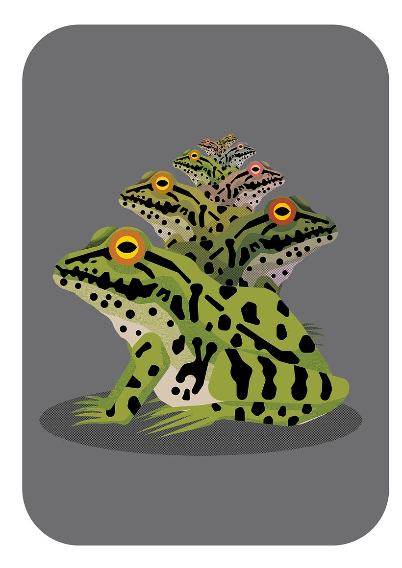 Playing with the frogs and colourlayers
