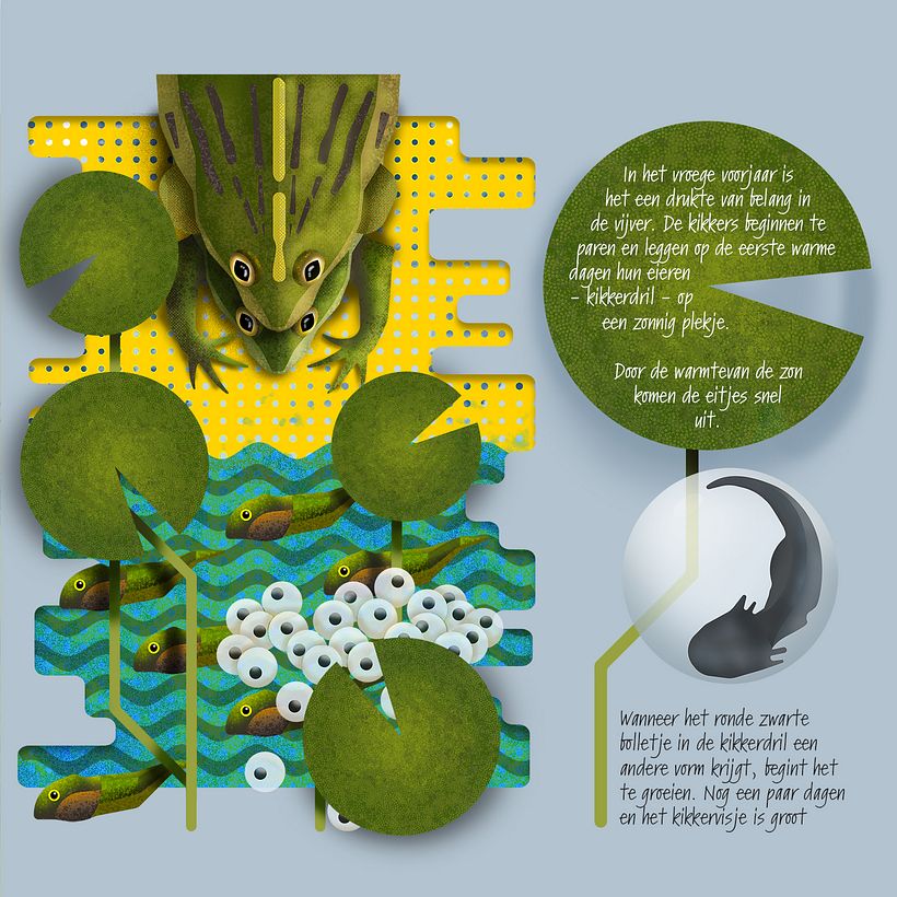 And more about frogs.
