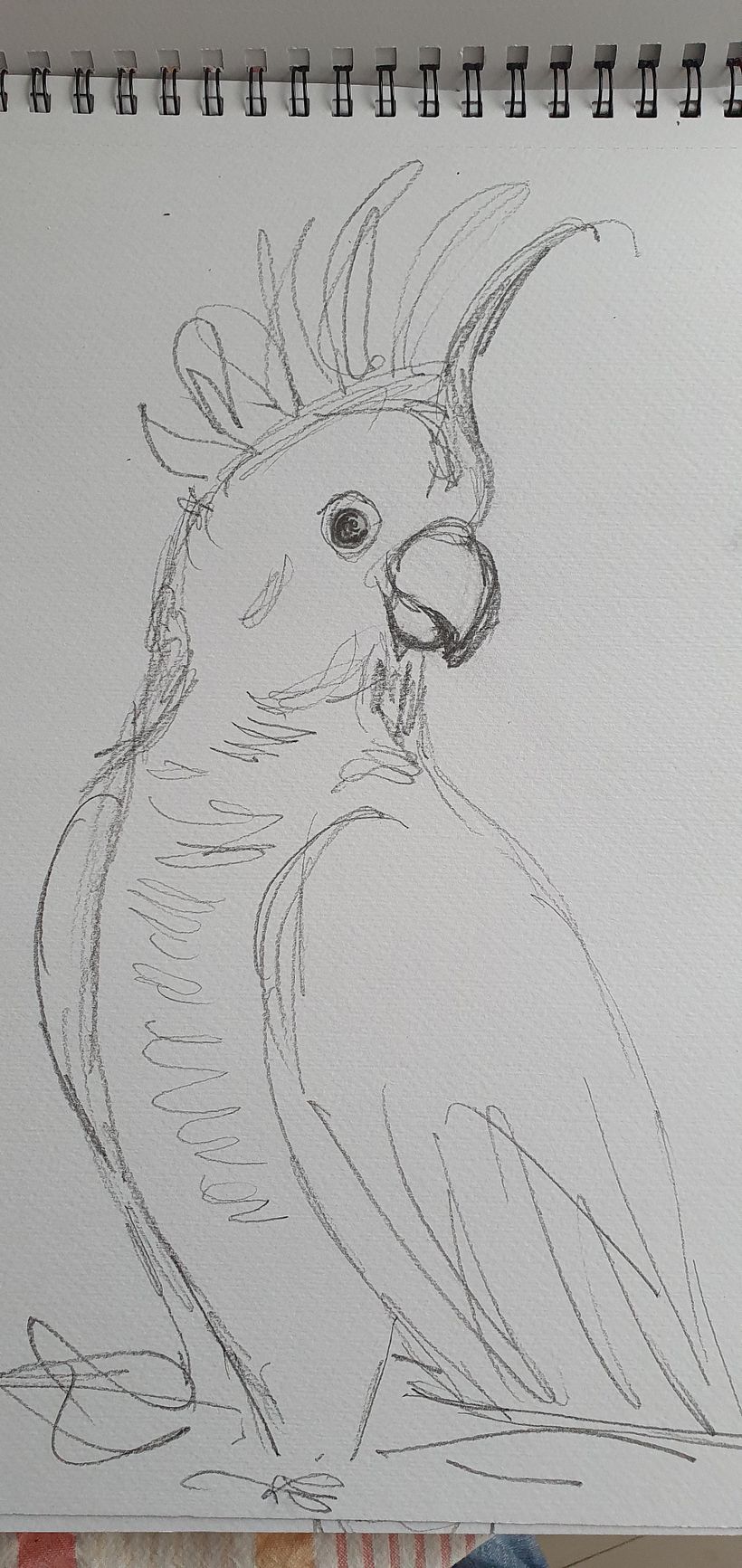 Initial sketch on paper