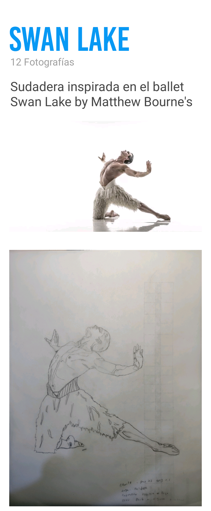 Sudadera inspirada en el ballet de Swan Lake by Matthew Bourne's