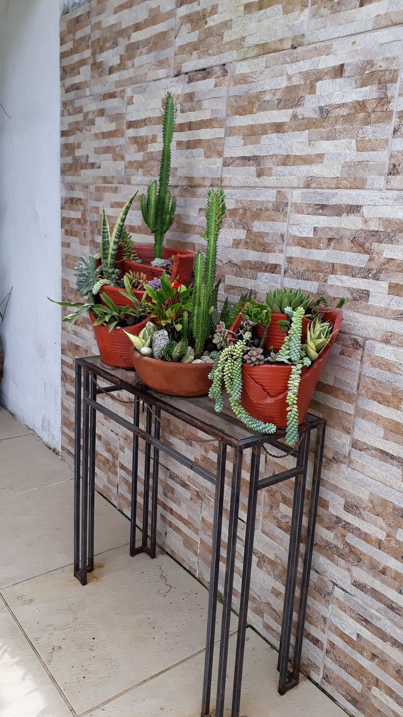 O grande amor que tenho pelo planeta Terra. 