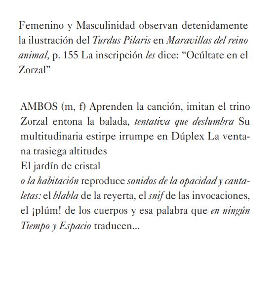 Tesauro 4