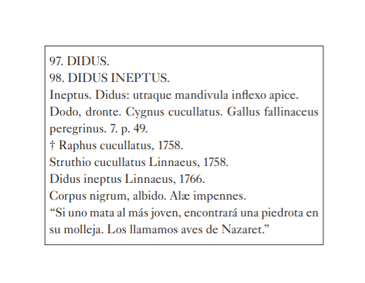 Dodo 10