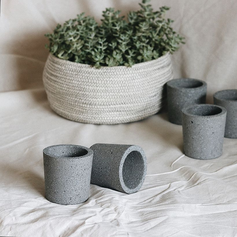 Jungla Urbana: Macetas de concreto + cactus y suculentas 4