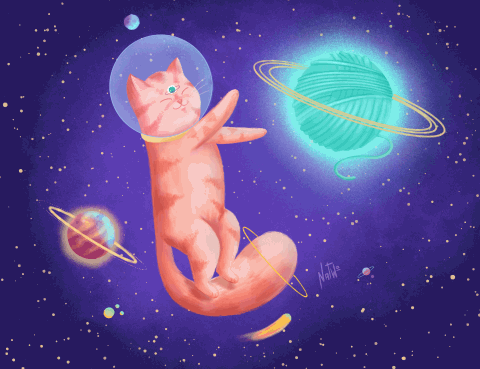 Gato en el espacio  3