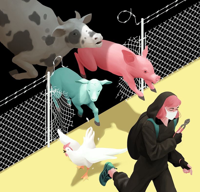 La ilustradora tiene líneas rojas, como son los contenidos sexistas o antifeministas. 