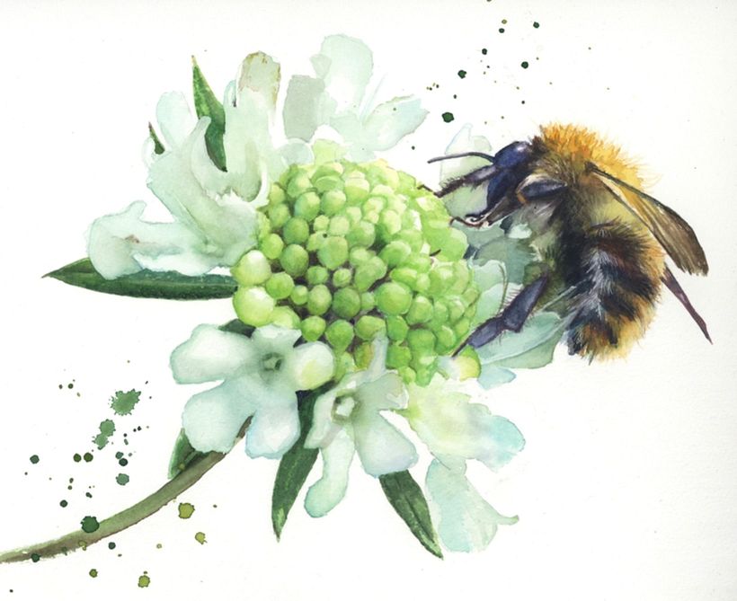 La abeja de Sarah Stokes.