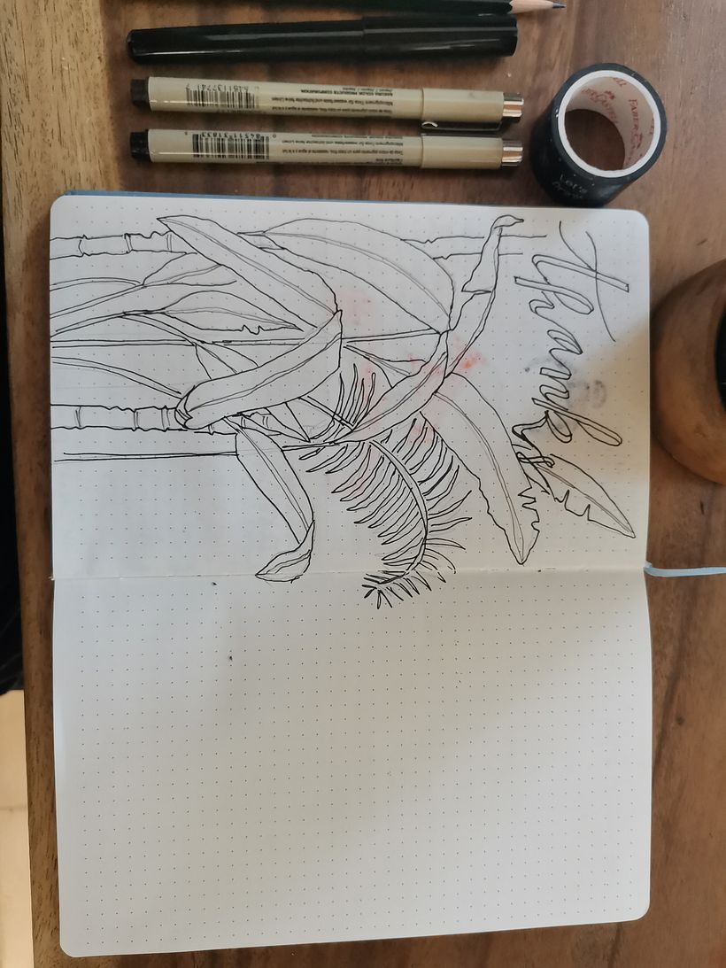 Mondly log May 1