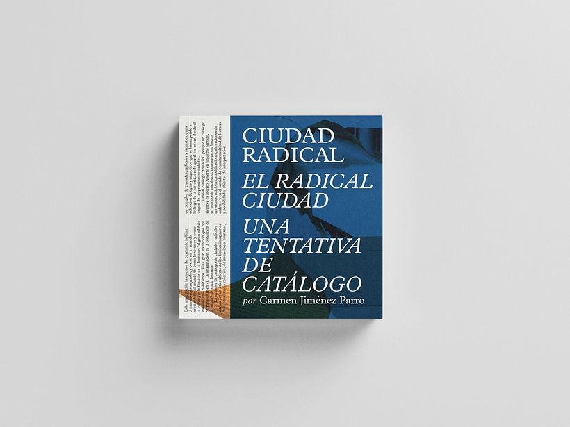 Ciudad Radical 1