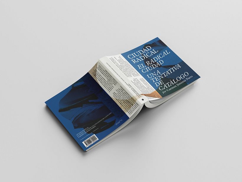 Ciudad Radical 3