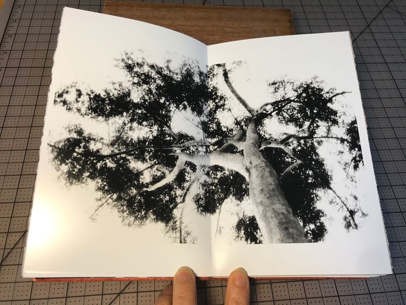 An inside page: silver gelatin print 