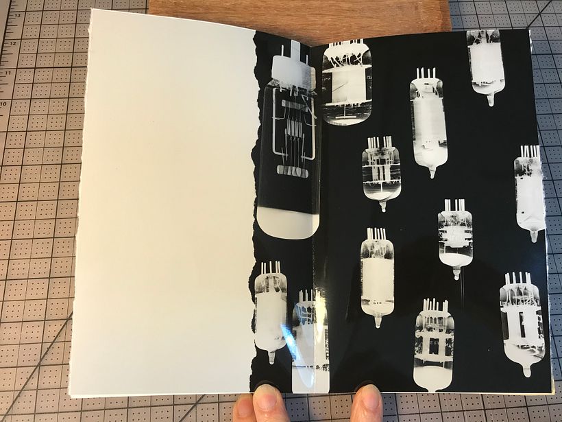 An inside page: silver gelatin print (photogram)