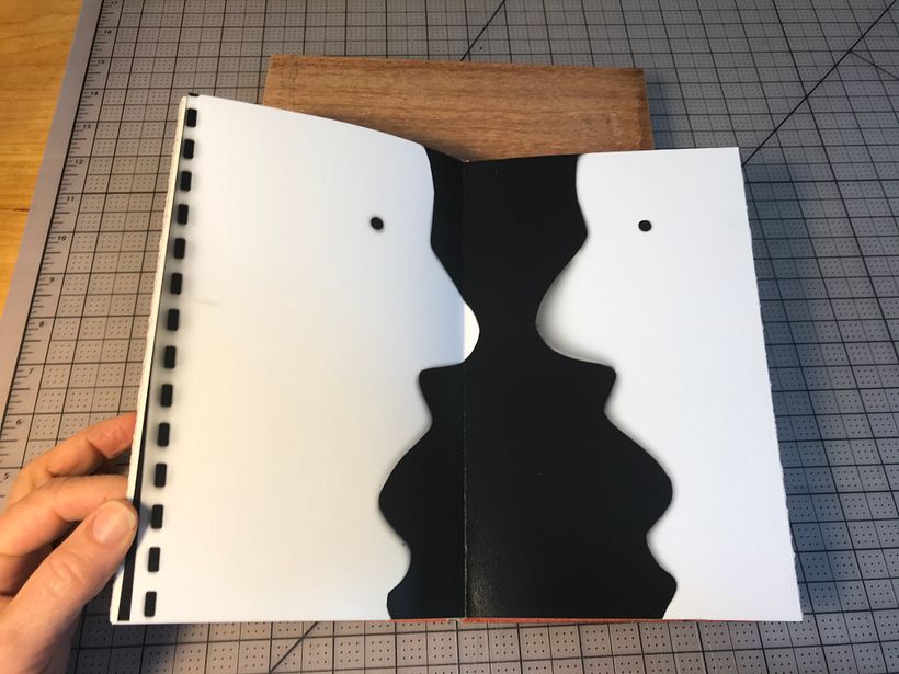 An inside page: silver gelatin print (photogram)