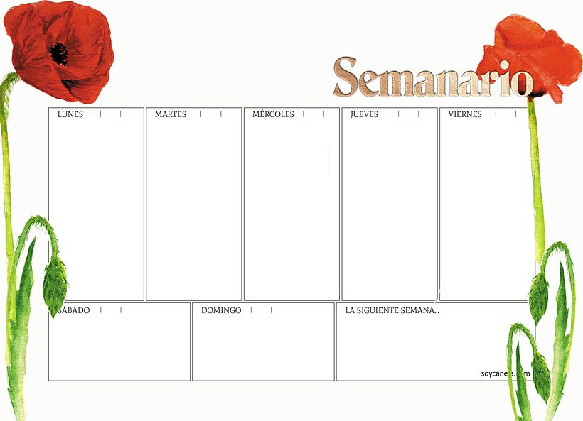 Mi proyecto lo he hecho a partir de las amapolas.  1