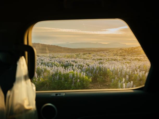 Photography by Julia Nimke.