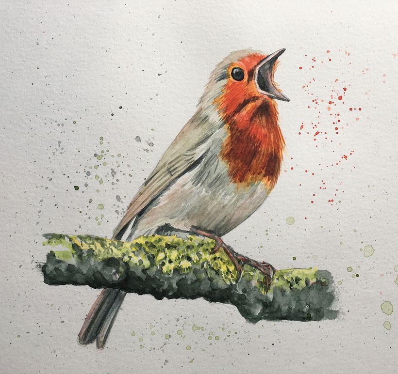 Robin 1, Picture of Jan Meeus