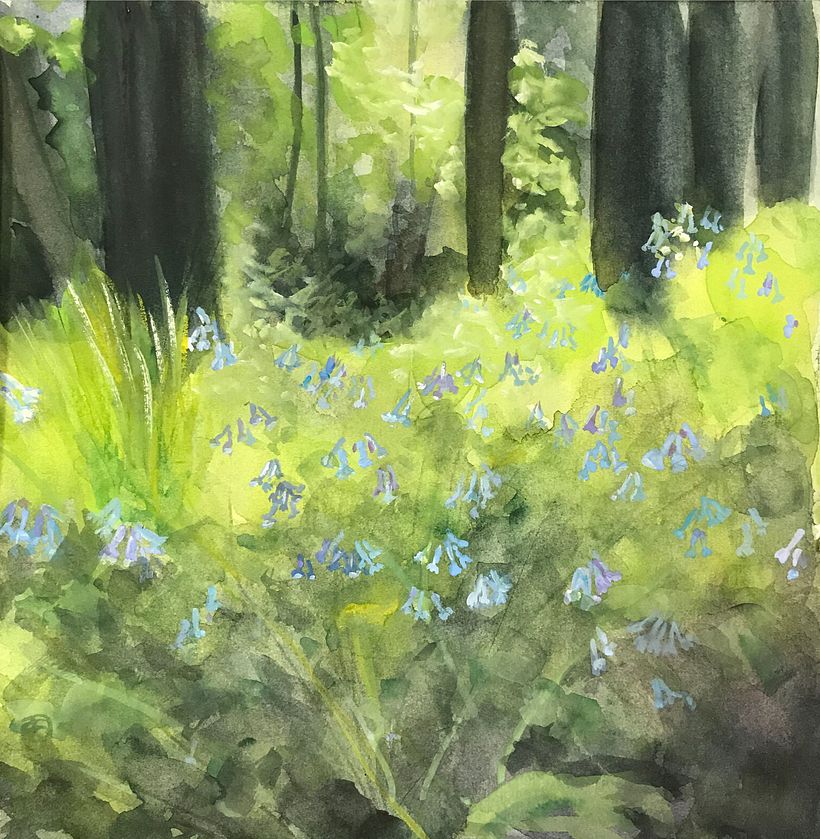 Bluebell Forest. Watercolor and Gouache.