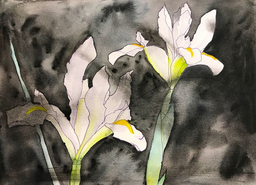 Black and White. Ink and watercolor.