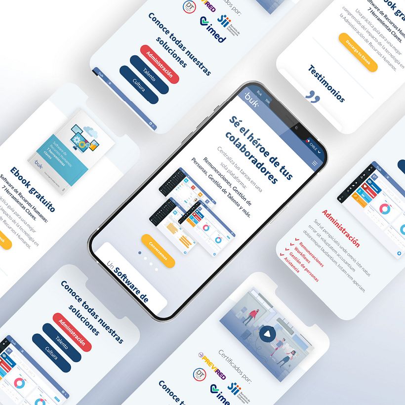 Mi Proyecto del curso: Introducción al diseño UX 2