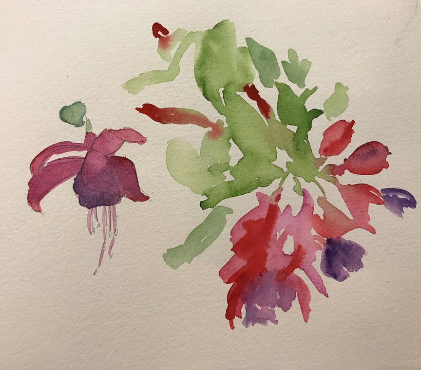 Fuschia. watercolor