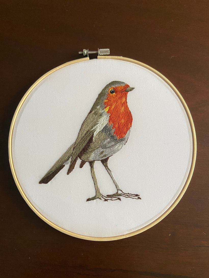 Petirrojo terminado!!!