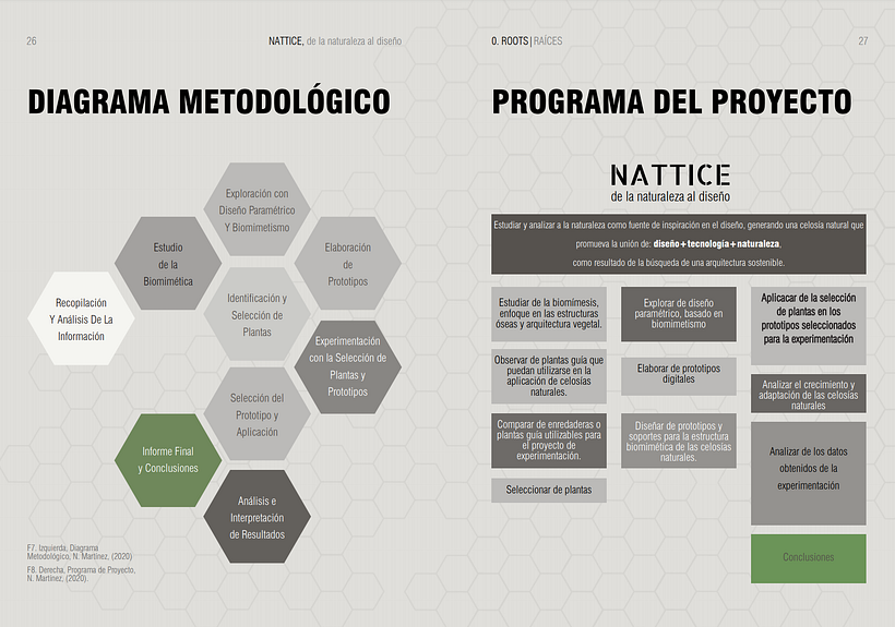 NATTICE, de la naturaleza al diseño.  1