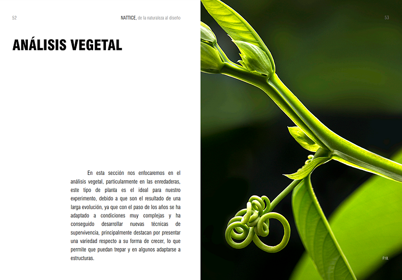 NATTICE, de la naturaleza al diseño.  2