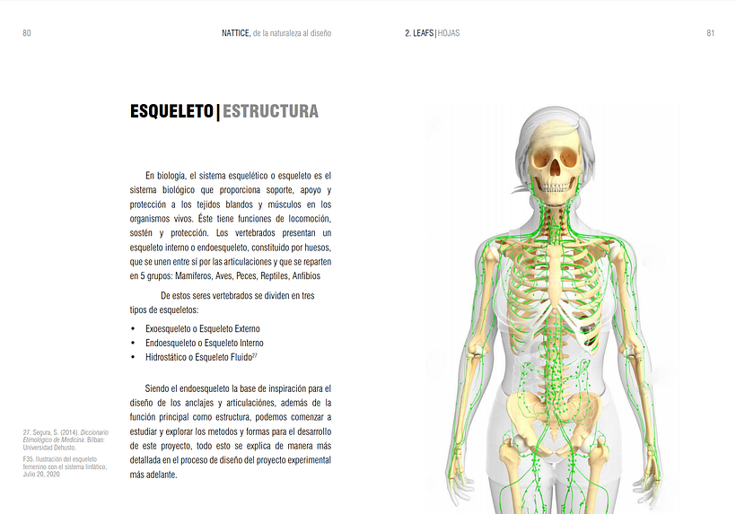 NATTICE, de la naturaleza al diseño.  3