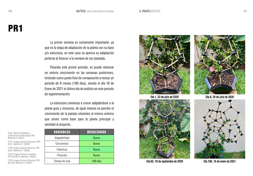 NATTICE, de la naturaleza al diseño.  13
