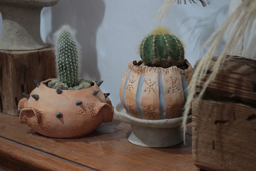 Colección Allpa 1