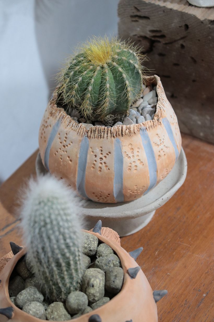 Colección Allpa 2