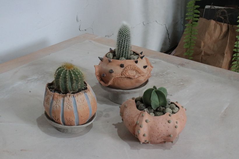 Colección Allpa 5