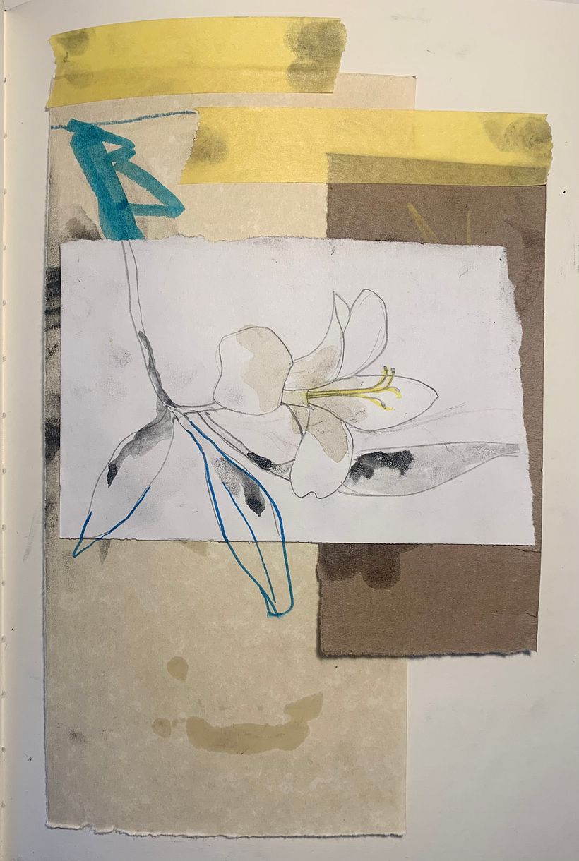 My project in Creative Artist's Diary: Define Your Visual Language course - Collage
