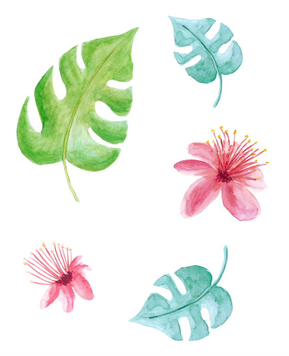 Elementos acuarela para el estampado