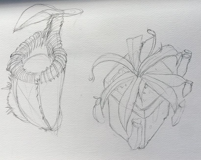 My Draft Sketch 