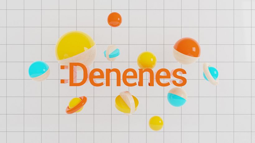 DENENES 1