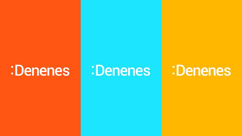 DENENES 3